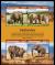 Colnect-5995-793-African-Elephant-Loxodonta-africana.jpg