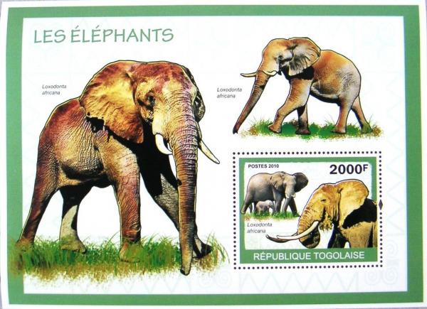 Colnect-1306-911-African-Elephant-Loxodonta-africana.jpg