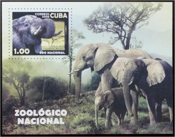 Colnect-1637-299-African-Elephant-Loxodonta-africana.jpg