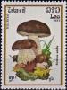 Colnect-4031-648-Cep-Boletus-edulis.jpg