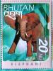 Colnect-526-962-African-Elephant-Loxodonta-africana.jpg
