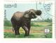 Colnect-532-919-Asian-Elephant-Elephas-maximus.jpg