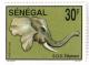 Colnect-542-192-African-Elephant-Loxodonta-africana.jpg