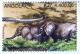 Colnect-556-336-African-Elephant-Loxodonta-africana.jpg