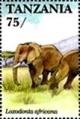 Colnect-5995-758-African-Elephant-Loxodonta-africana.jpg