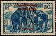 Colnect-786-844-African-Elephant-Loxodonta-africana.jpg