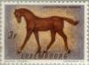 Colnect-133-990-Horse-Equus-ferus-caballus.jpg
