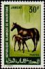 Colnect-989-407-Horse-Equus-ferus-caballus.jpg