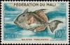Colnect-1049-704-Grey-Triggerfish-Balistes-forcipatus.jpg