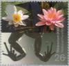 Colnect-123-374-Frog-s-Legs-and-Water-Lilies-National-Pondlife-Centre.jpg