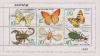 Colnect-1431-496-Butterflies-and-Insects.jpg