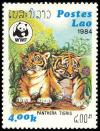 Colnect-1613-034-Tiger-Panthera-tigris.jpg