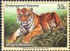 Colnect-2521-459-Tiger-Panthera-tigris.jpg