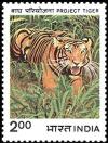 Colnect-2524-307-Tiger-Panthera-tigris.jpg