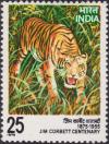Colnect-2564-540-Tiger-Panthera-tigris.jpg