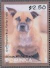 Colnect-3277-456-Staffordhire-Bull-Terrier-Cross-Canis-lupus-familiaris.jpg