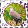 Colnect-3566-076-Mountain-Imperial-Pigeon---Ducula-badia.jpg