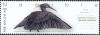 Colnect-3744-584-Black-Heron-Egretta-ardesiaca.jpg