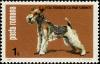 Colnect-4266-426-Fox-Terrier-Canis-lupus-familiaris.jpg
