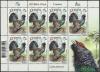 Colnect-6552-649-Western-Capercaillie-Tetrao-urogallus.jpg