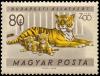 Colnect-813-948-Tiger-Panthera-tigris.jpg