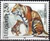 Colnect-875-661-Siberian-Tiger-Panthera-tigris-altaica.jpg
