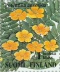 Colnect-160-258-Common-Silverweed-Potentilla-anserina.jpg