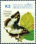 Colnect-1734-863-Flame-bordered-Emperor-Charaxes-protoclea-ssp-azota.jpg