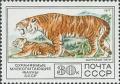 Colnect-194-798-Siberian-Tiger-Panthera-tigris-altaica.jpg