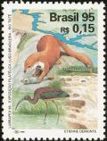 Colnect-2423-248-Giant-Otter-Pteronura-brasiliensis.jpg