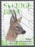 Colnect-4248-494-Roe-deer-Capreolus-capreolus.jpg