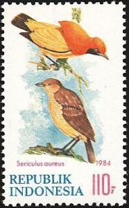 Colnect-1103-723-Flame-Bowerbird-Sericulus-aureus-.jpg