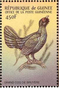 Colnect-3880-528-Western-Capercaillie-Tetrao-urogallus.jpg