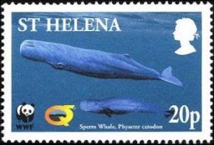 Colnect-1661-848-Two-sperm-whales-underwater.jpg