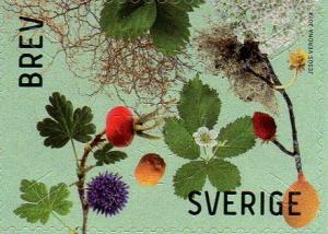 Colnect-2292-500-Berries-and-Leaves.jpg