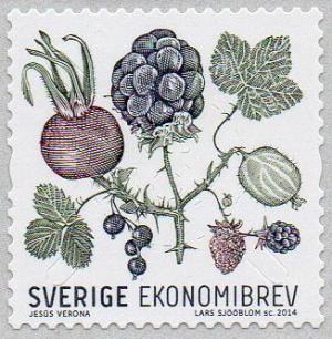 Colnect-2292-505-Berries-and-Leaves.jpg