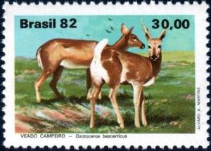 Colnect-2309-219-Pampas-Deer-Odocoileus-bezoarticus.jpg