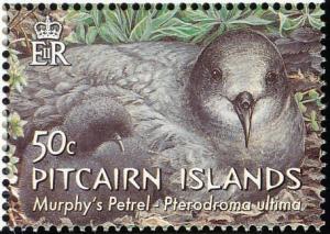 Colnect-2517-346-Murphys-petrel-Pterodroma-ultima-and-young-in-nest.jpg