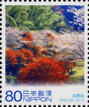 Colnect-4131-680-Winter-Cherry-Blossoms-Shikisakura.jpg