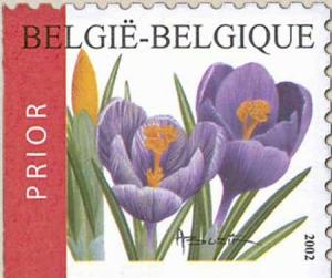 Colnect-561-772-Flowers--Crocus-vernus---left--amp--bottom-imperf.jpg