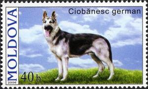 Colnect-737-305-German-Shepherd-Canis-lupus-familiaris.jpg