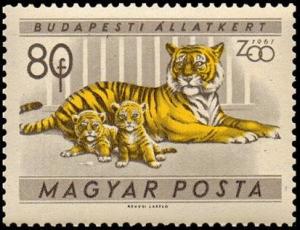 Colnect-813-948-Tiger-Panthera-tigris.jpg