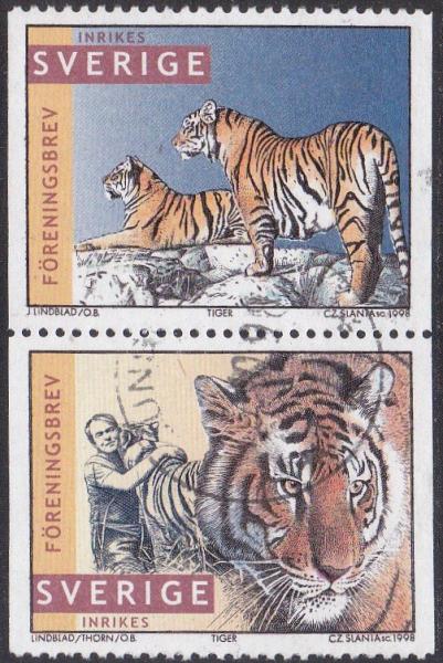 Colnect-5188-422-Tiger-Panthera-tigris.jpg