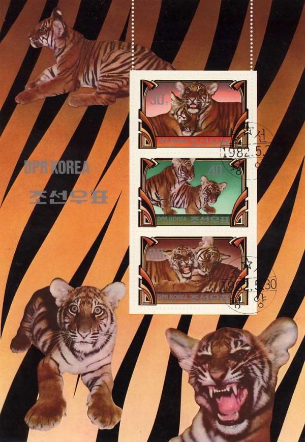 Colnect-1266-102-Tiger-Panthera-tigris.jpg