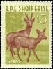 Colnect-5815-580-Roe-Deer-Capreolus-capreolus.jpg