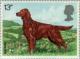 Colnect-122-111-Irish-Setter-Canis-lupus-familiaris.jpg