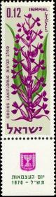 Colnect-2597-969-Israeli-Wild-Flowers---Orchid---Orchis-Laxiflorus.jpg