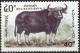 Colnect-2852-844-Wild-Water-Buffalo-Bubalus-arnee.jpg