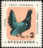 Colnect-621-460-Western-Capercaillie-Tetrao-urogallus.jpg