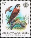 Colnect-2274-158-Seychelles-Kestrel-Falco-araeus.jpg